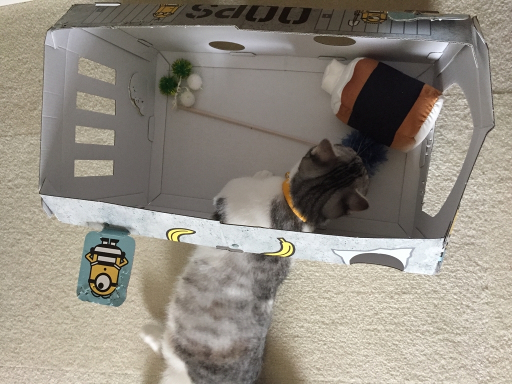 f:id:Gomez-cat:20170819003727j:plain f:id:Gomez-cat:20170819003727j:plain