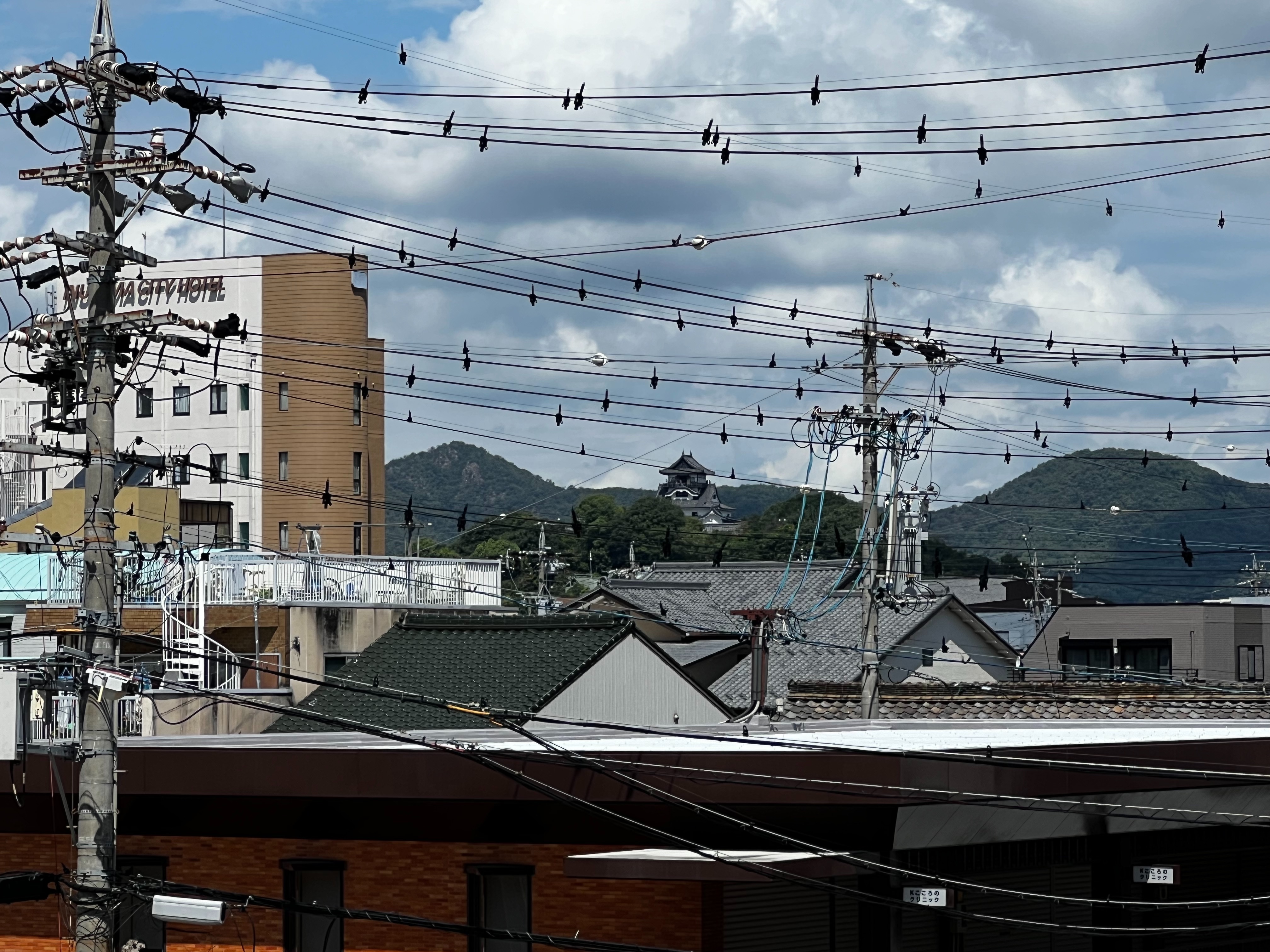 f:id:Gomibako919:20240829113416j:image f:id:Gomibako919:20240829113416j:image