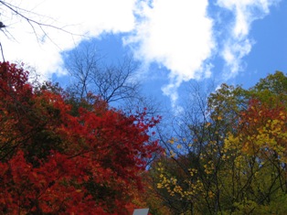 f:id:Gong-ji:20061028133724j:image f:id:Gong-ji:20061028133724j:image