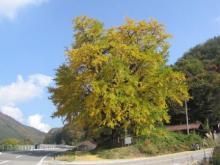 f:id:Gong-ji:20121028074000j:image f:id:Gong-ji:20121028074000j:image