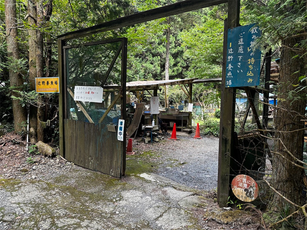 辻野 養魚 場