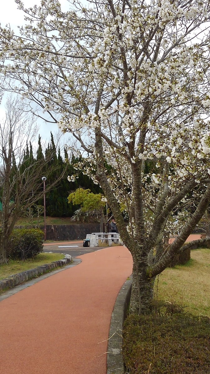 f:id:GoodMorningForRun:20200328150436j:plain