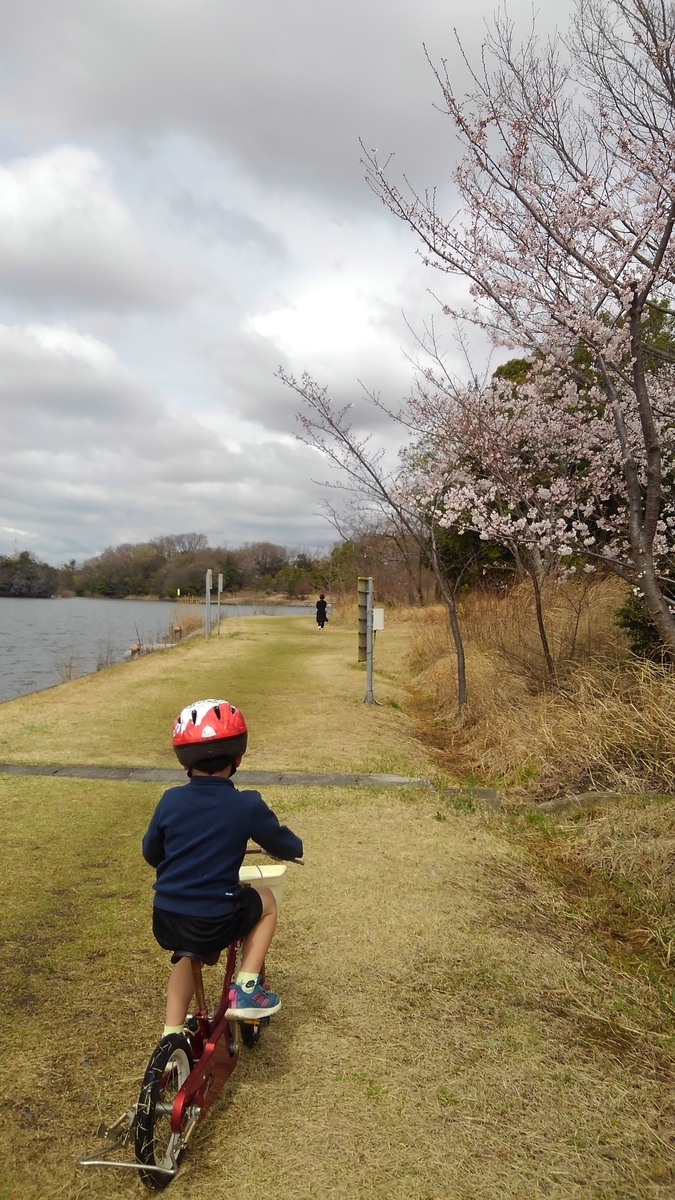 f:id:GoodMorningForRun:20200329154203j:plain