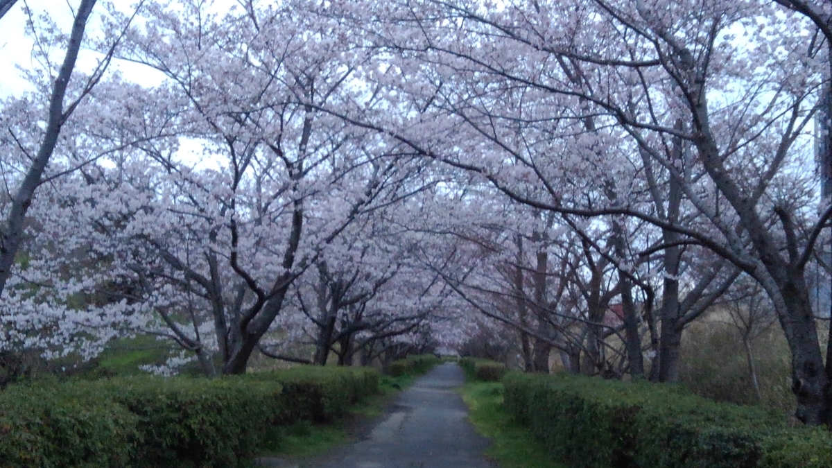 f:id:GoodMorningForRun:20200330124214j:plain