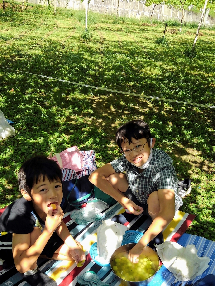 f:id:GoodMorningForRun:20200921200121j:plain