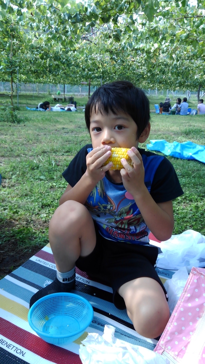 f:id:GoodMorningForRun:20200921200223j:plain