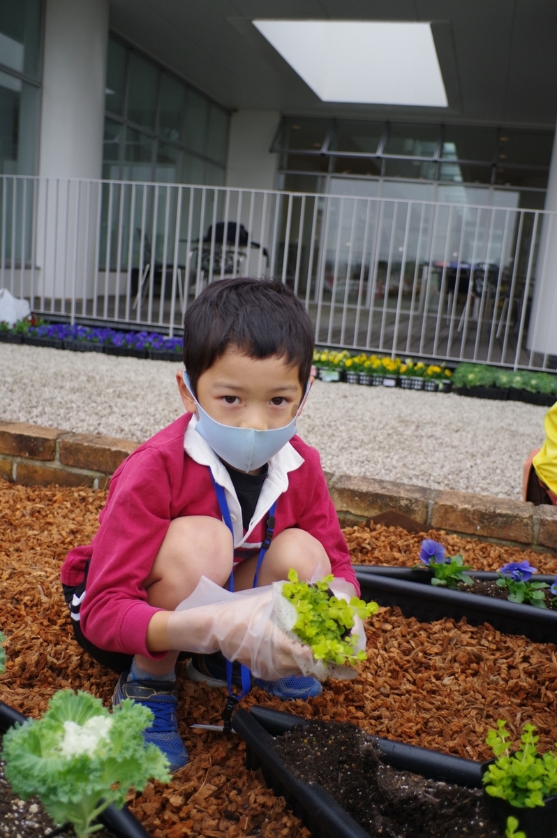 f:id:GoodMorningForRun:20201110145344j:plain f:id:GoodMorningForRun:20201110145344j:plain