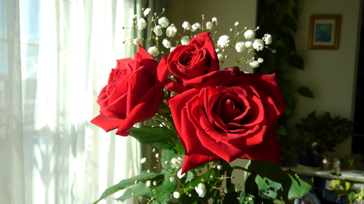 f:id:GoodMorningForRun:20201126202316j:plain