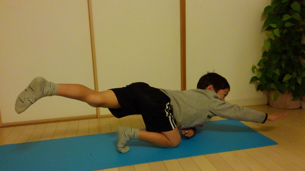 f:id:GoodMorningForRun:20201127200341j:plain