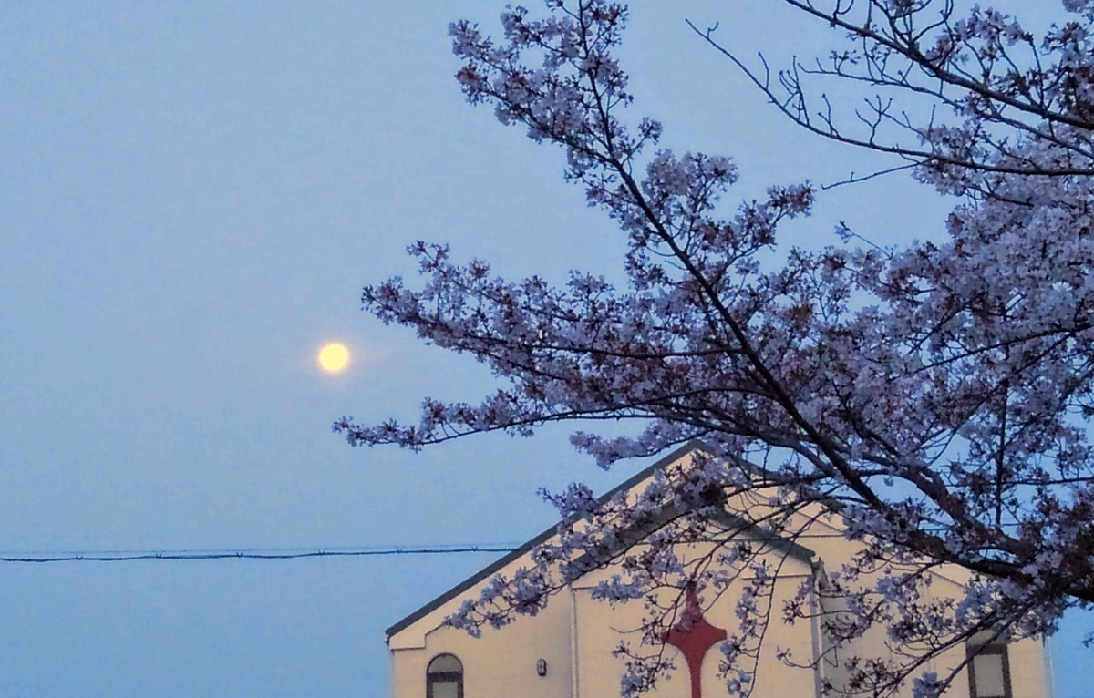 f:id:GoodMorningForRun:20201203192049j:plain