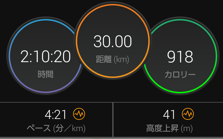 f:id:GoodMorningForRun:20201206161304p:plain