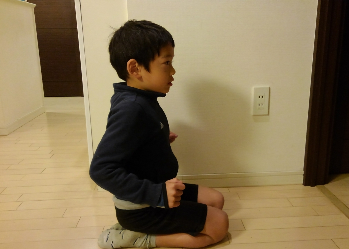 f:id:GoodMorningForRun:20201214194844j:plain