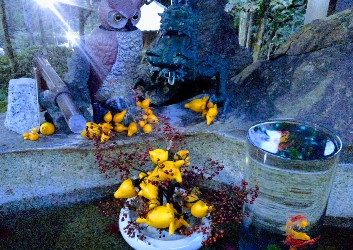 f:id:GoodMorningForRun:20201219173518j:plain