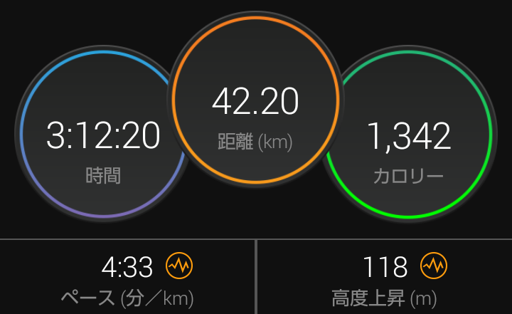 f:id:GoodMorningForRun:20201222201435p:plain