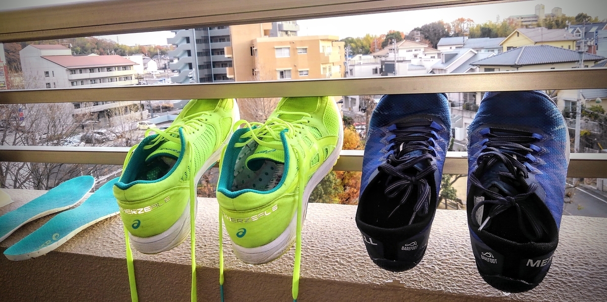 f:id:GoodMorningForRun:20201229161408j:plain