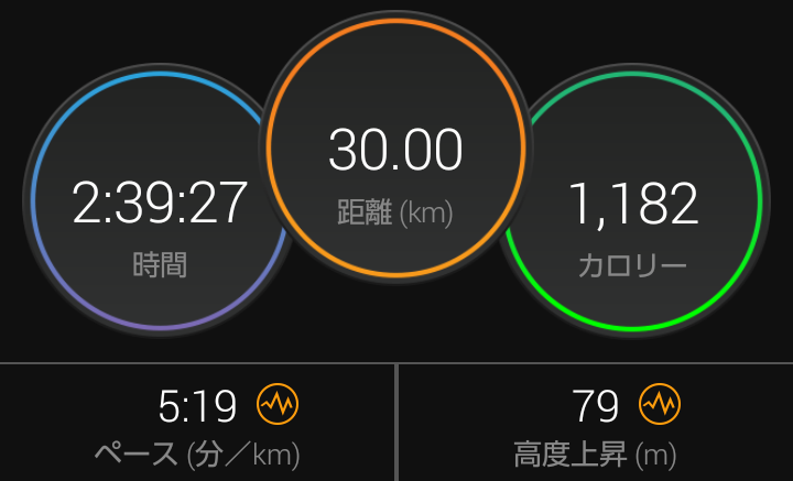 f:id:GoodMorningForRun:20201230183750p:plain