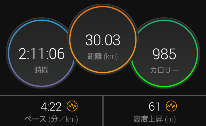 f:id:GoodMorningForRun:20210131184846p:plain