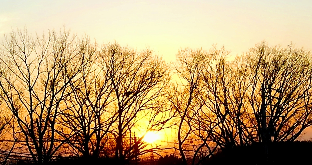 f:id:GoodMorningForRun:20210223183349j:plain