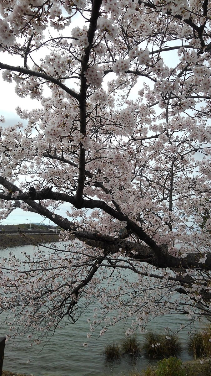 f:id:GoodMorningForRun:20210327155753j:plain