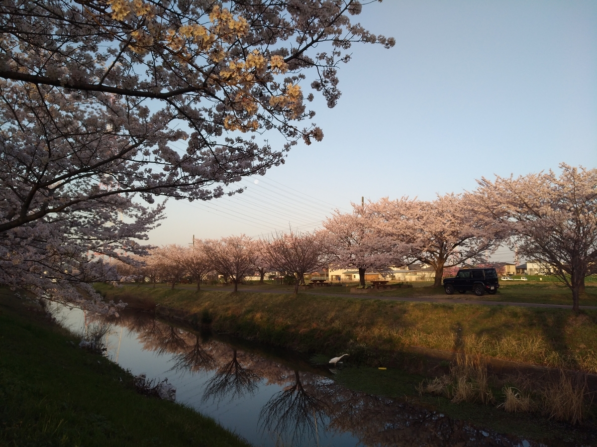 f:id:GoodMorningForRun:20210331124202j:plain