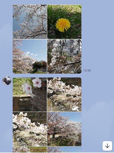 f:id:GoodMorningForRun:20210402200128j:image f:id:GoodMorningForRun:20210402200128j:image