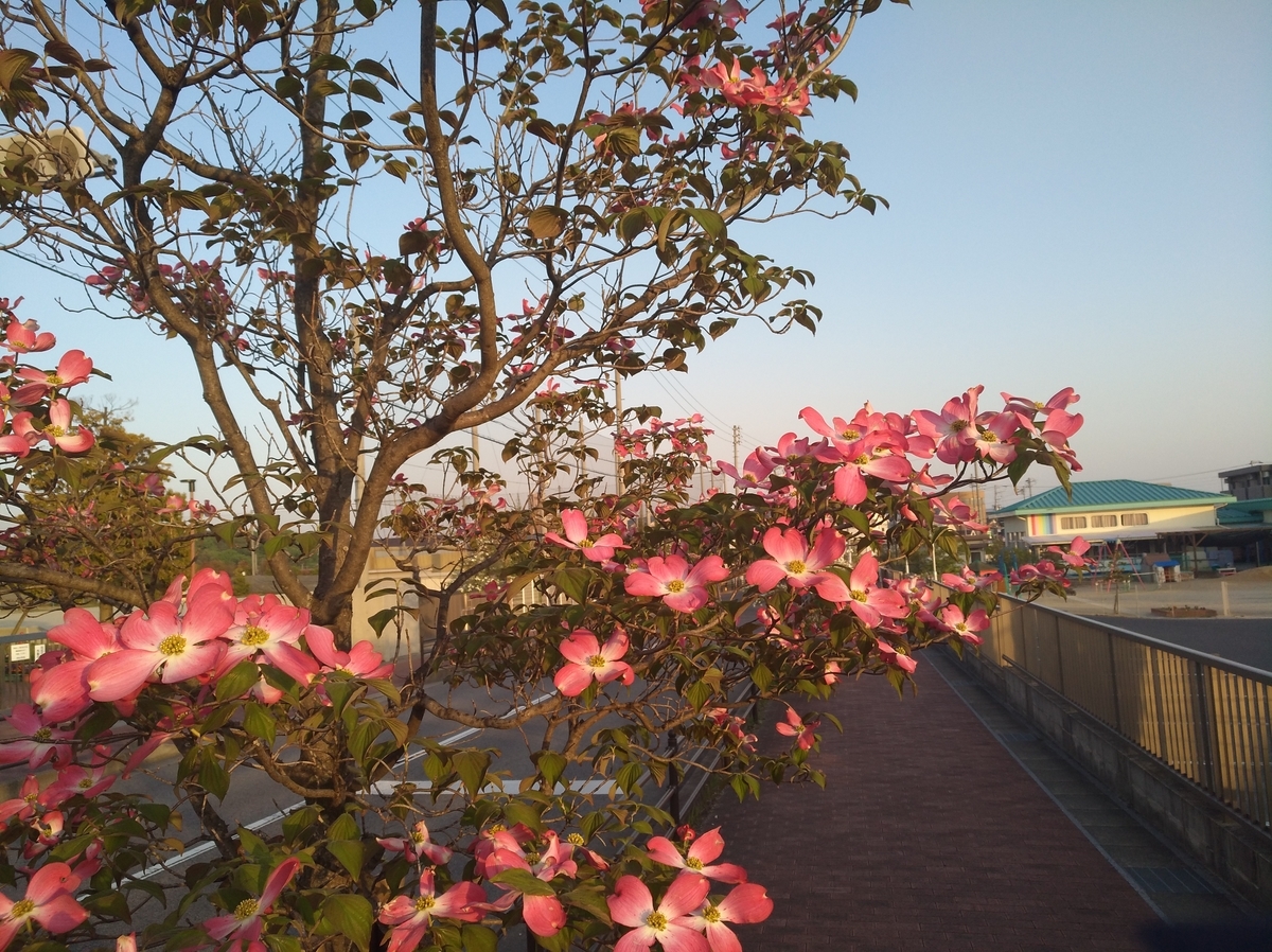 f:id:GoodMorningForRun:20210422190401j:plain