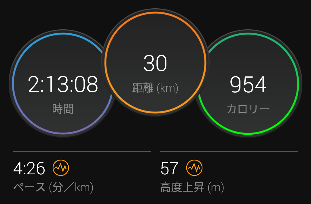 f:id:GoodMorningForRun:20210425175559p:plain
