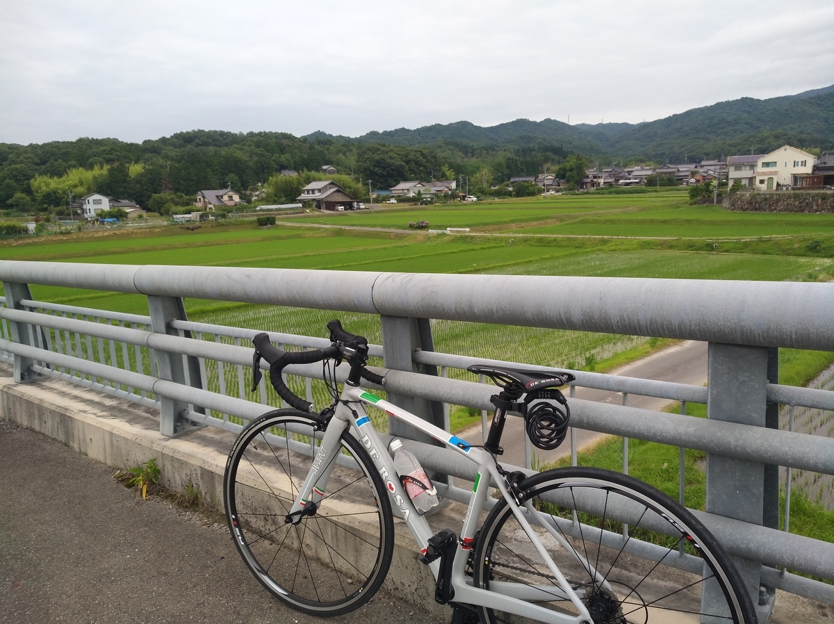 f:id:GoodMorningForRun:20210613193118j:plain