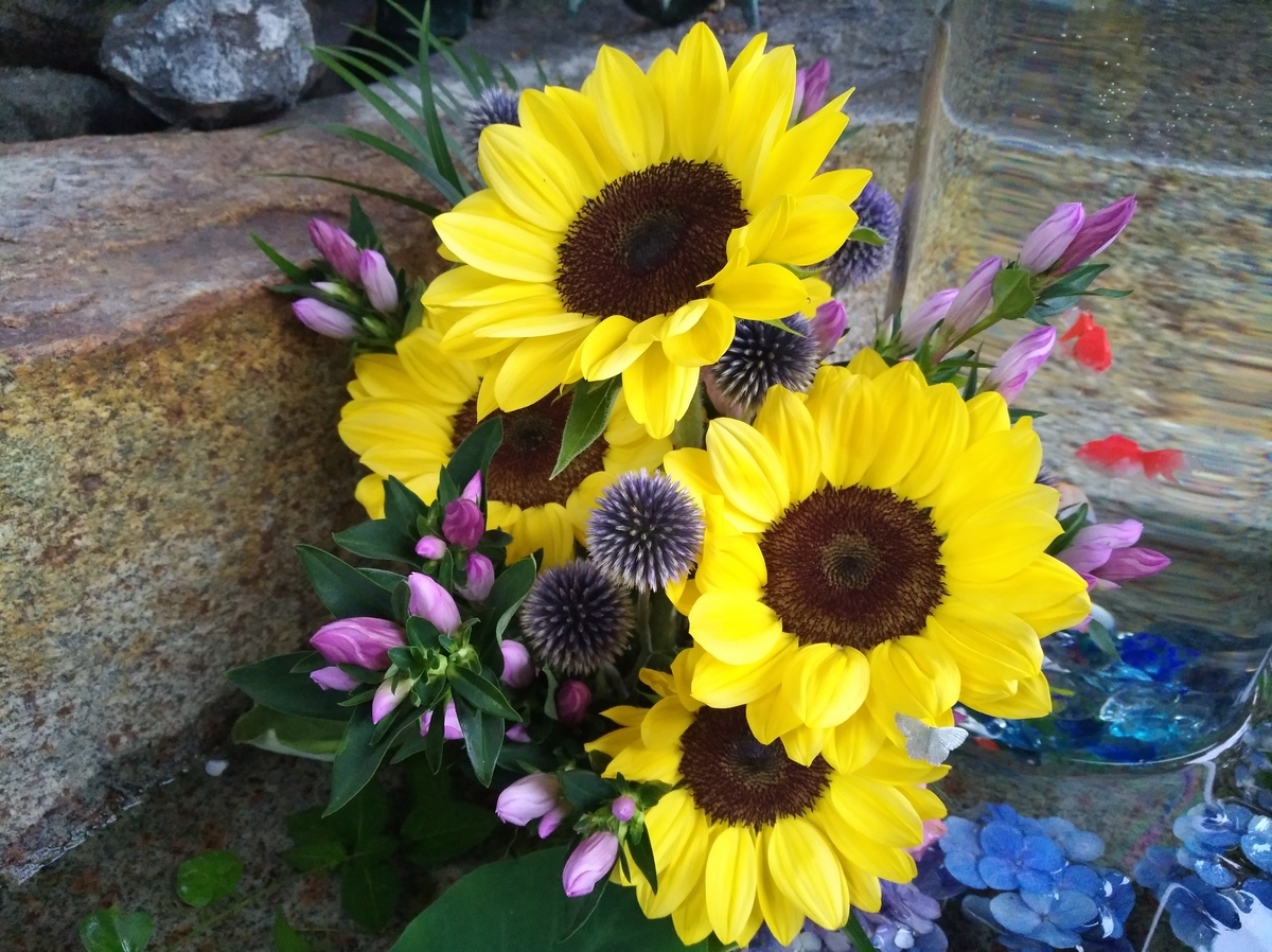 f:id:GoodMorningForRun:20210730202904j:plain