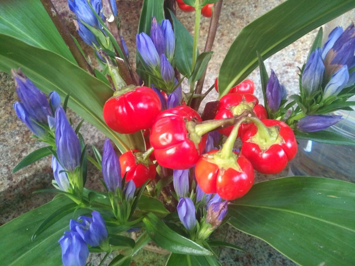 f:id:GoodMorningForRun:20210902202136j:plain