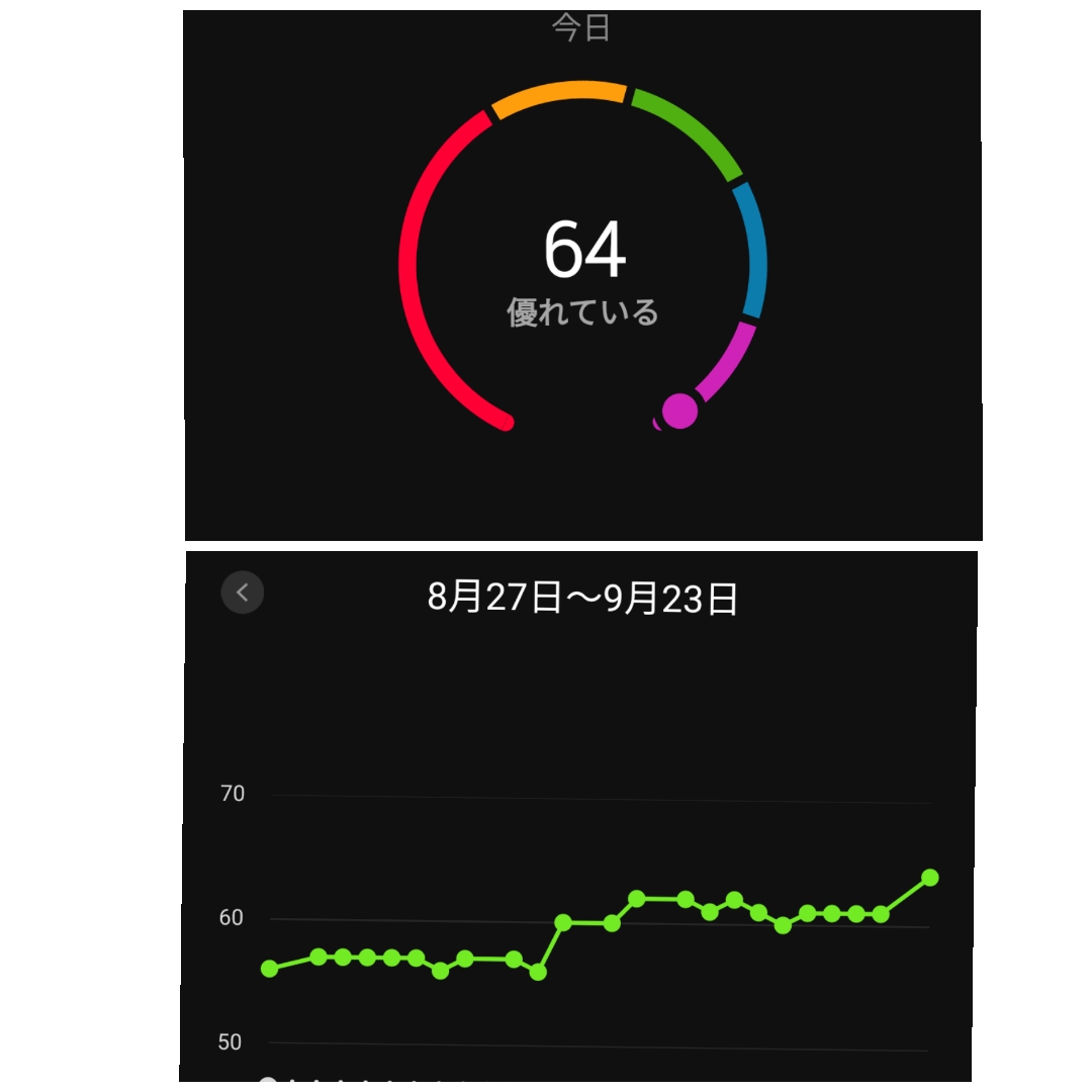f:id:GoodMorningForRun:20210923171029j:plain