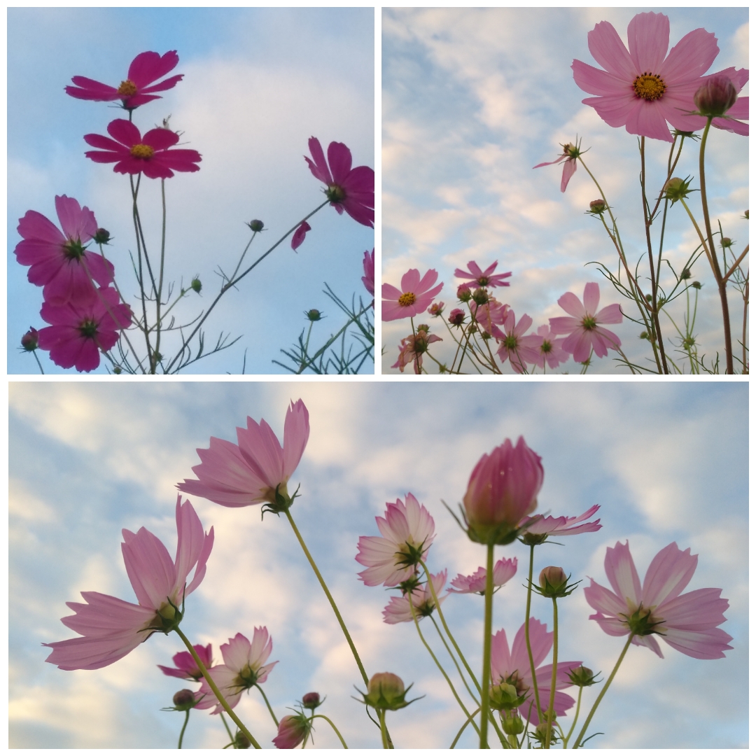f:id:GoodMorningForRun:20210928194221j:plain