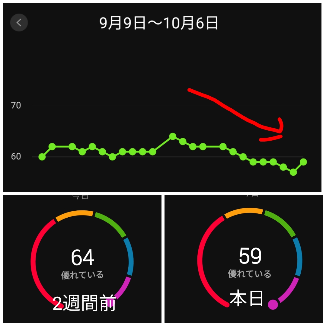 f:id:GoodMorningForRun:20211006195100j:plain