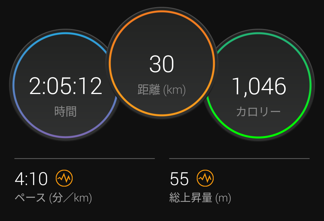 f:id:GoodMorningForRun:20211024153018p:plain