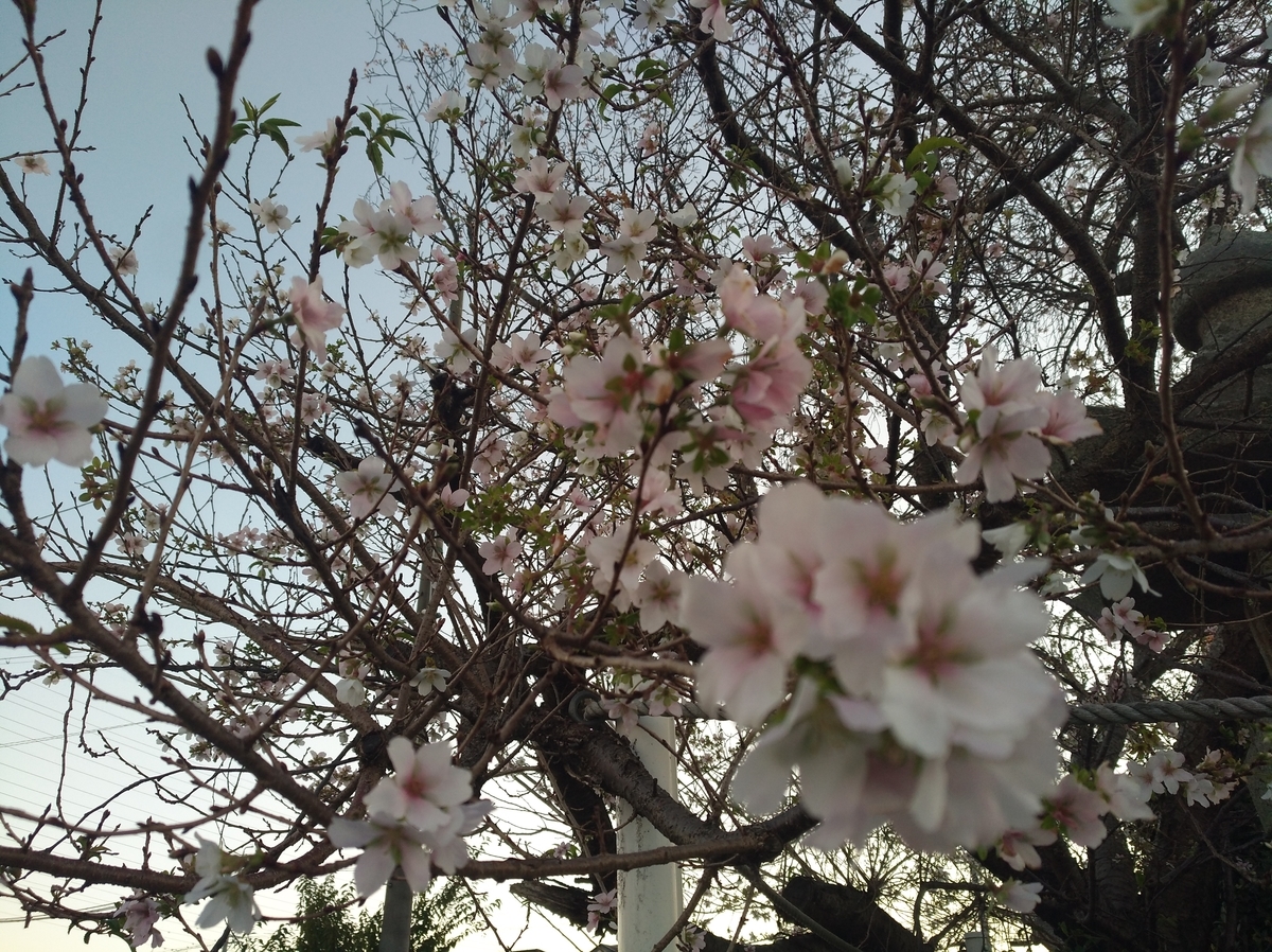f:id:GoodMorningForRun:20211030191039j:plain