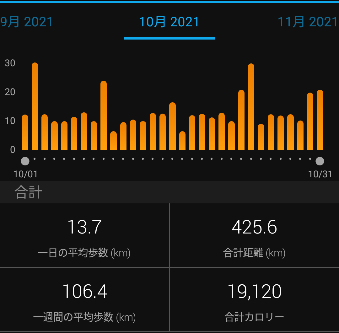 f:id:GoodMorningForRun:20211101194859p:plain