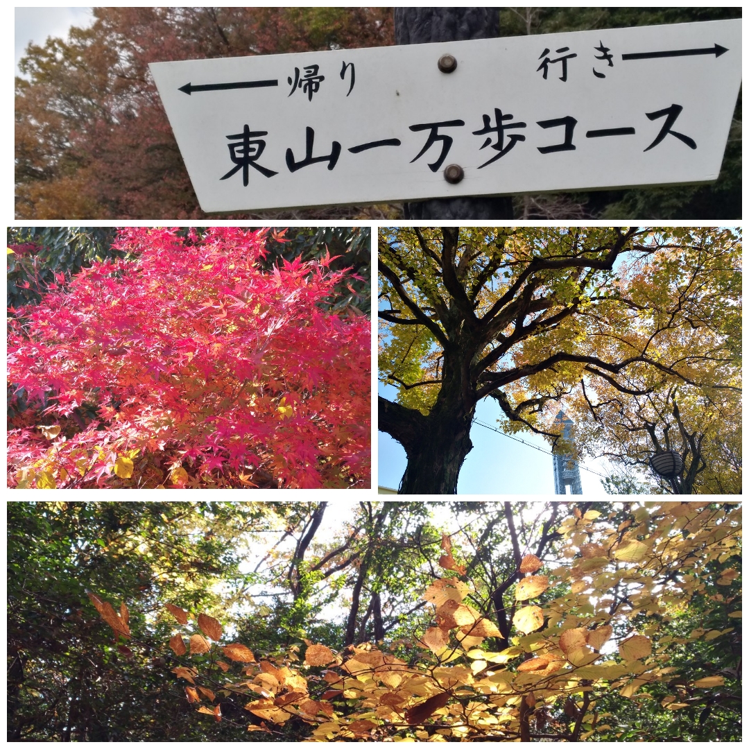 f:id:GoodMorningForRun:20211126145509j:plain