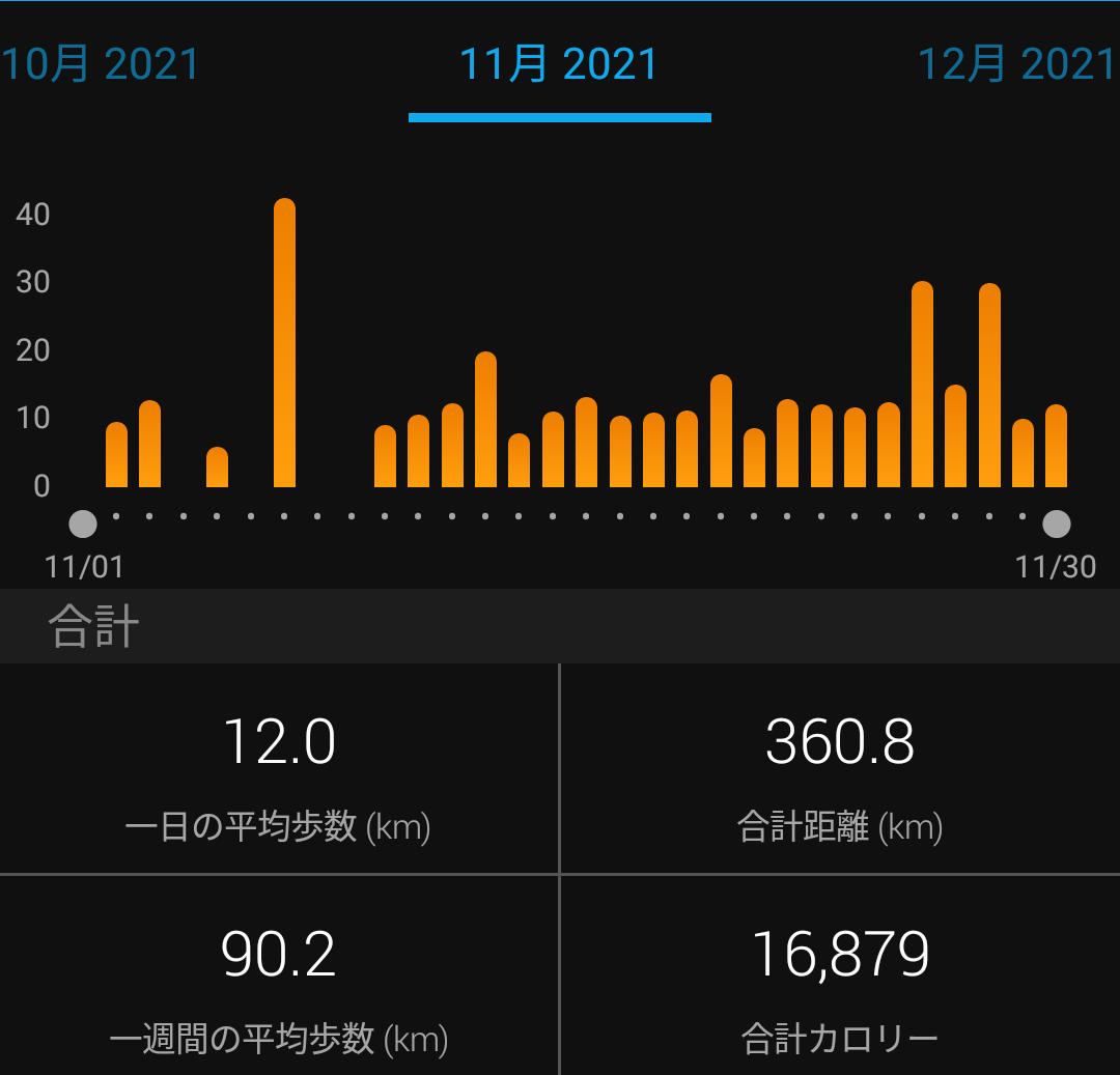 f:id:GoodMorningForRun:20211201194334p:plain