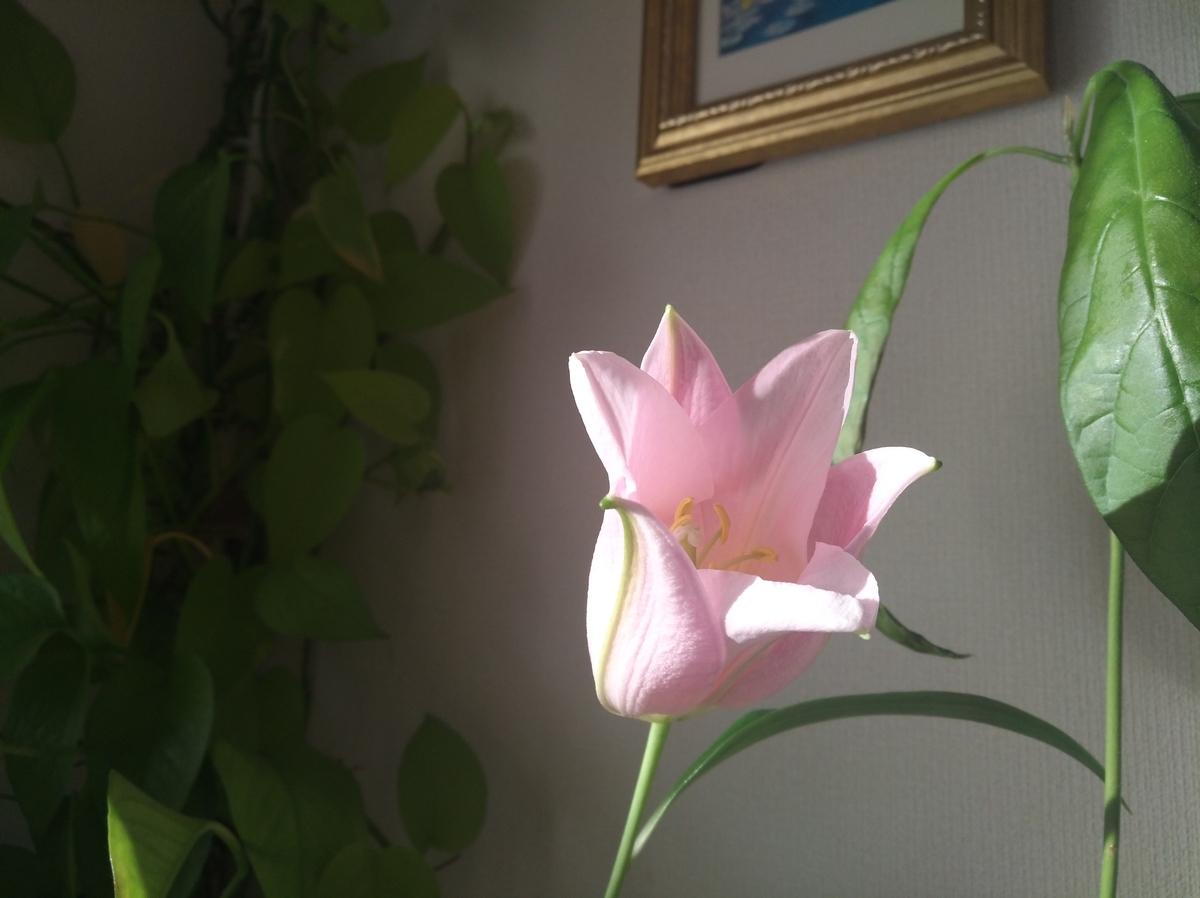 f:id:GoodMorningForRun:20220121195954j:plain
