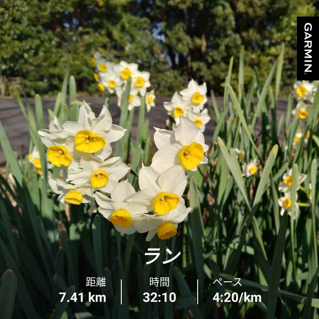 f:id:GoodMorningForRun:20220205185159j:plain