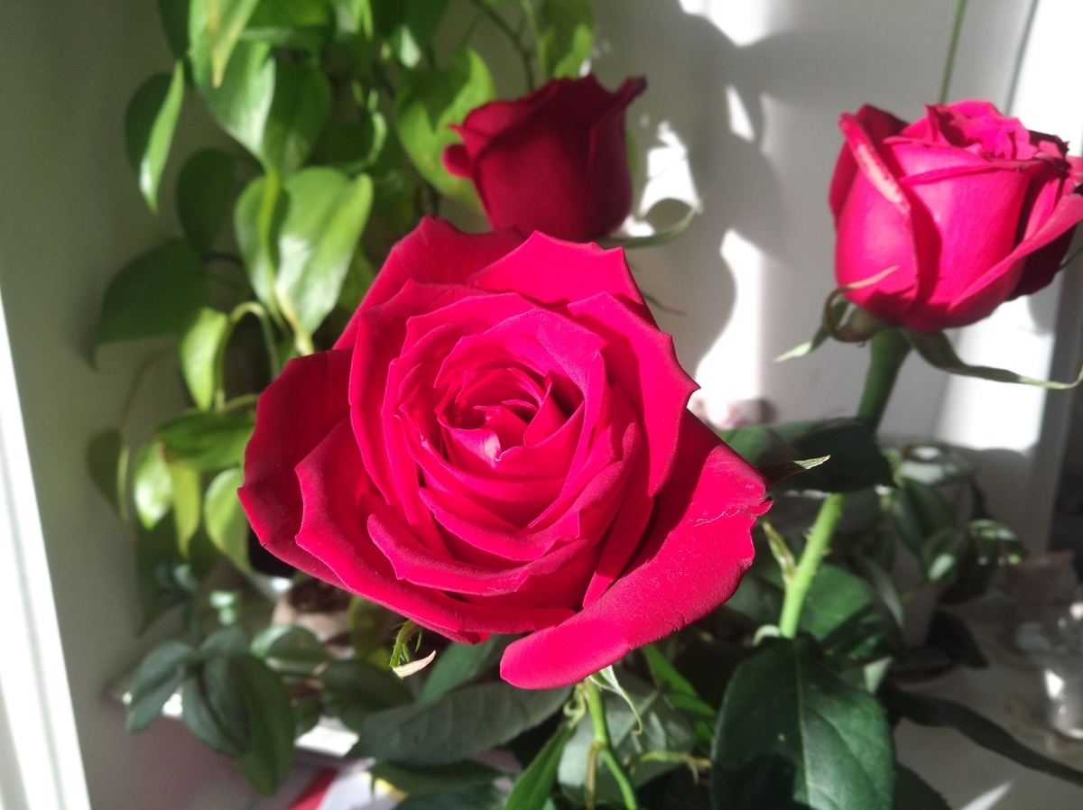 f:id:GoodMorningForRun:20220222205058j:plain