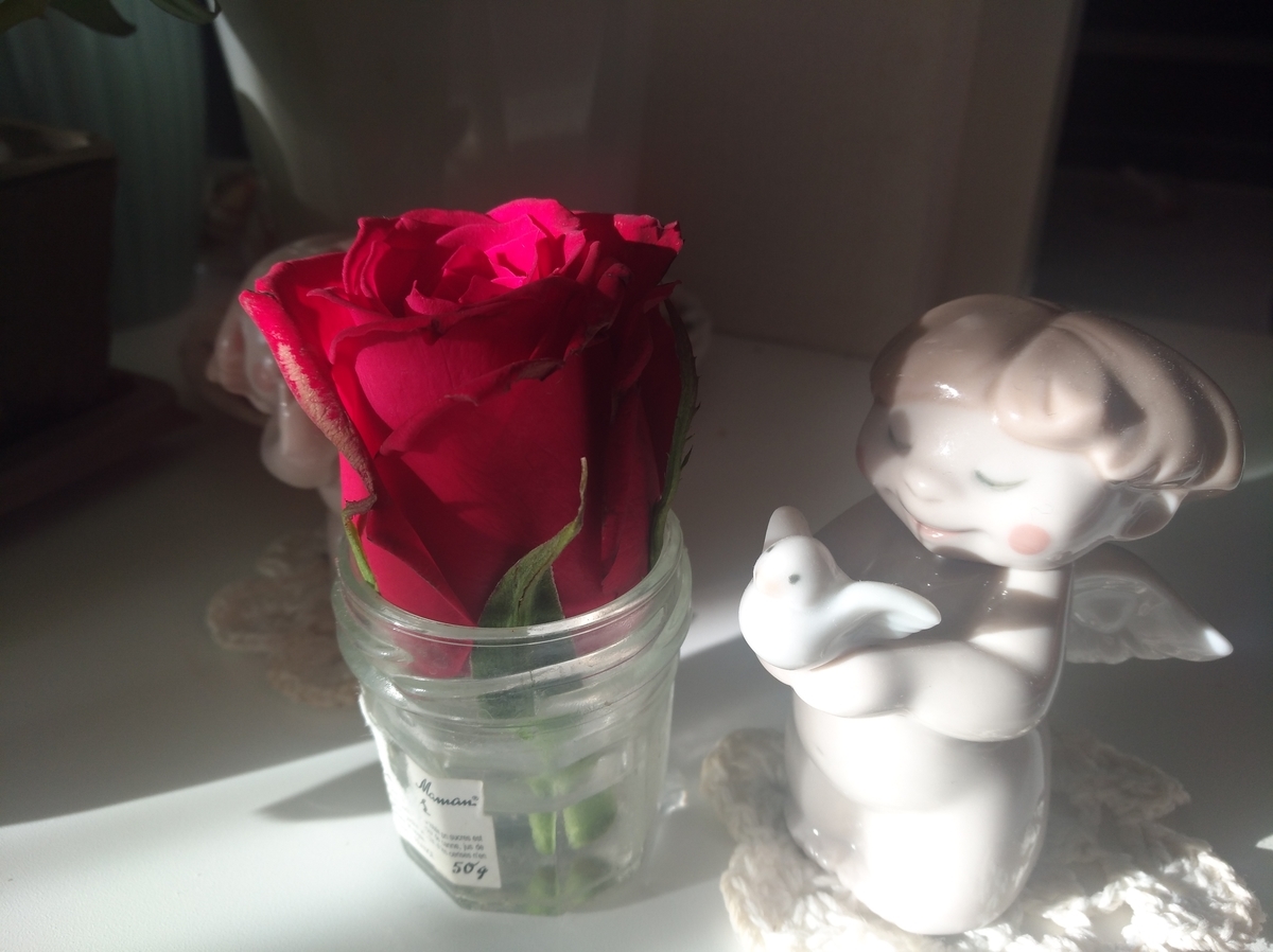 f:id:GoodMorningForRun:20220225194037j:plain