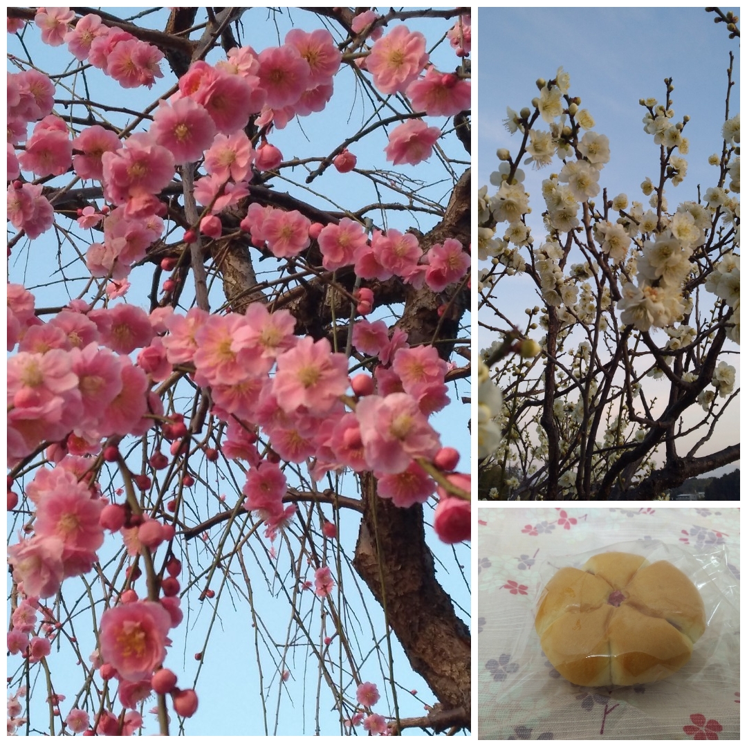 f:id:GoodMorningForRun:20220312194346j:plain