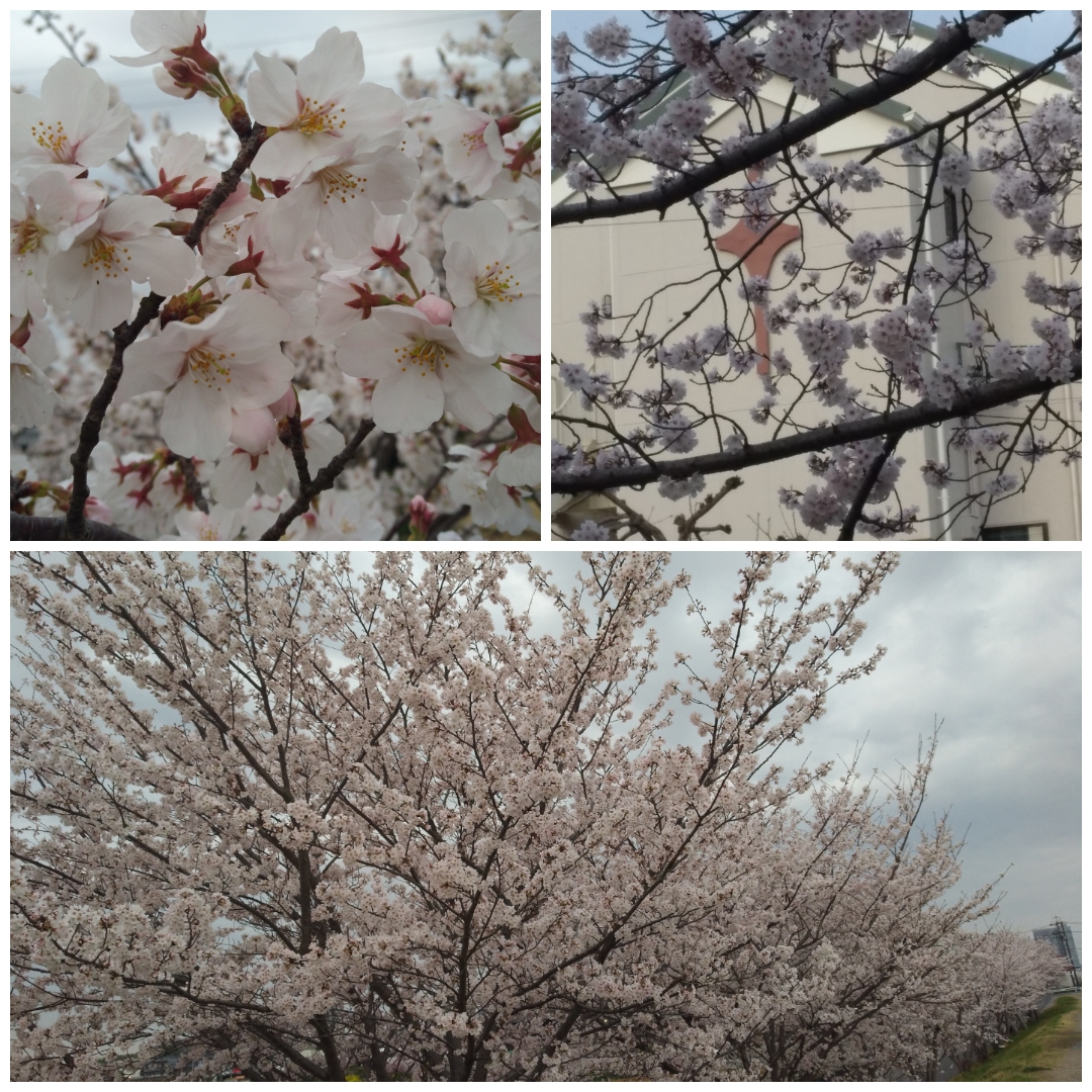 f:id:GoodMorningForRun:20220331200718j:plain