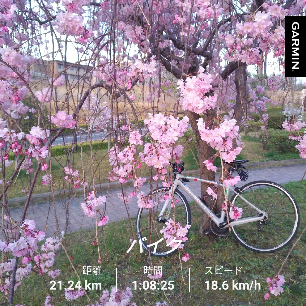 f:id:GoodMorningForRun:20220407200127j:plain