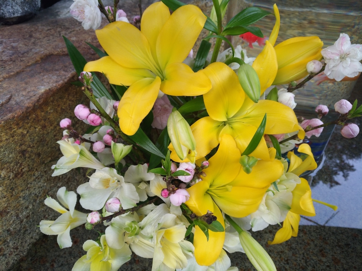 f:id:GoodMorningForRun:20220408201039j:plain
