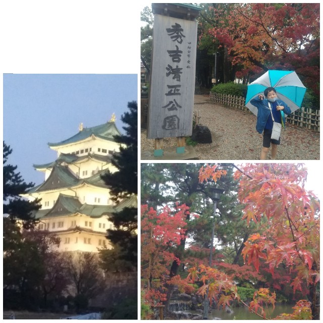 f:id:GoodMorningForRun:20221123201258j:image f:id:GoodMorningForRun:20221123201258j:image