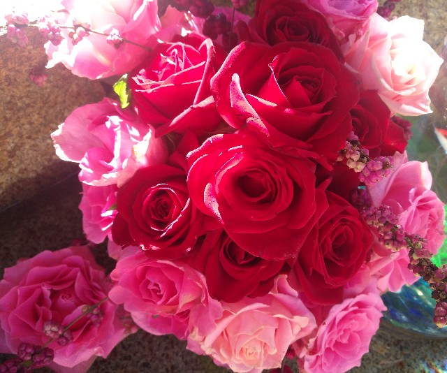 f:id:GoodMorningForRun:20221210185552j:image f:id:GoodMorningForRun:20221210185552j:image