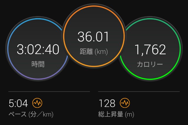 f:id:GoodMorningForRun:20230211145528j:image