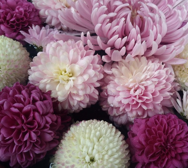 f:id:GoodMorningForRun:20230301200600j:image f:id:GoodMorningForRun:20230301200600j:image
